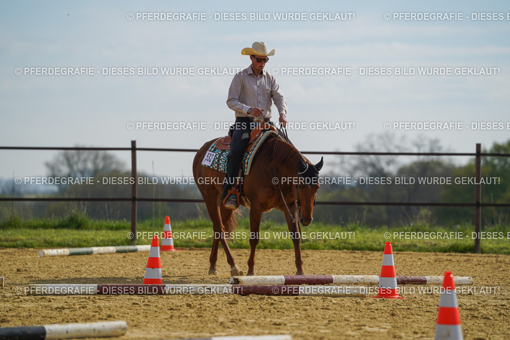 DSC01544 | Pferdegrafie