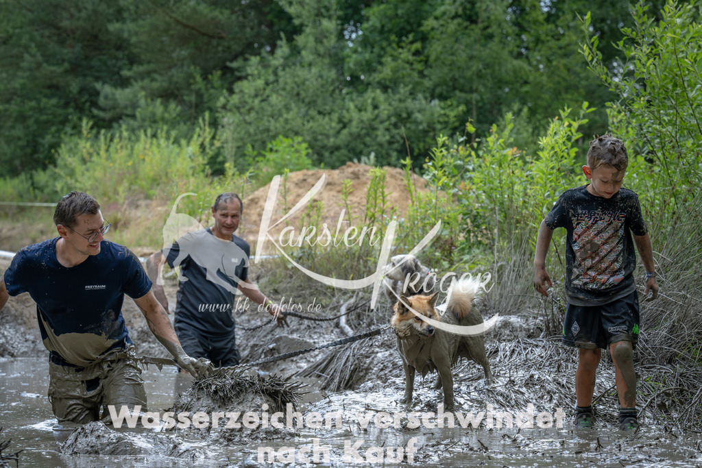 1417_ZZ92298-Verbessert-RR | kk-dogfotos