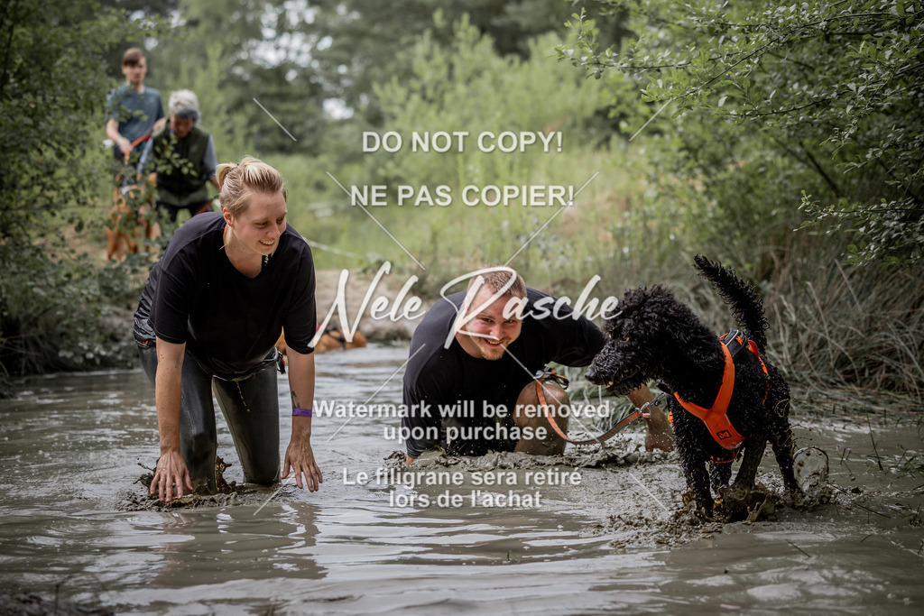 nelerasche_so0800-0930_224 | nelerasche