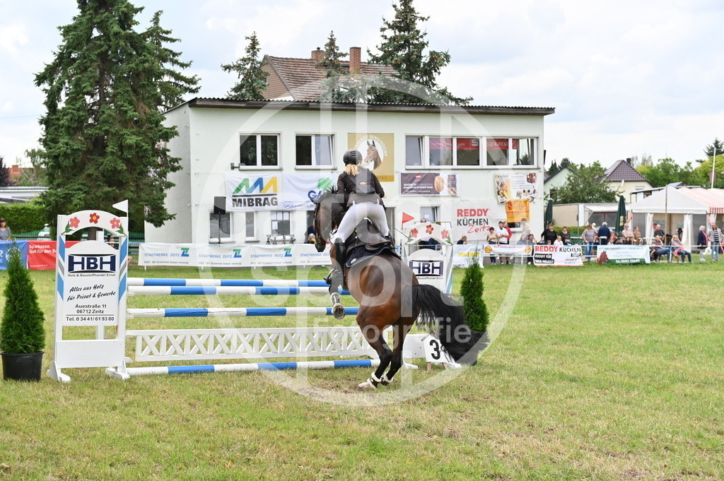 DSC_3276 | sattelsport - Realisiert mit Pictrs.com