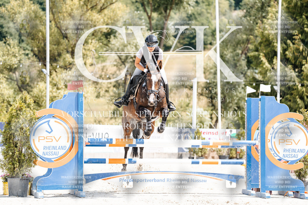 CK908148 | Turnierfotografie Pferdefotografie Trier Rheinland-Pfalz Pferdesport Reitsport Tierfotografie Sportfotografie Pferdevideo Pferdevideografie Equestrianvideography equestrianphotography  - Realisiert mit Pictrs.com