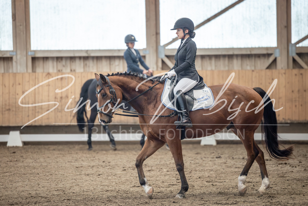 20251011-_3LI7960 | Tierfotografie Pferde, Hunde, Katzen, Haustiere.
Turnierfotografie Reitturniere, Reiten, Springreiten, Dressur in Hanau, dem Main-Kinzig-Kreis und dem Rhein-Main- Gebiet um Frankfurt