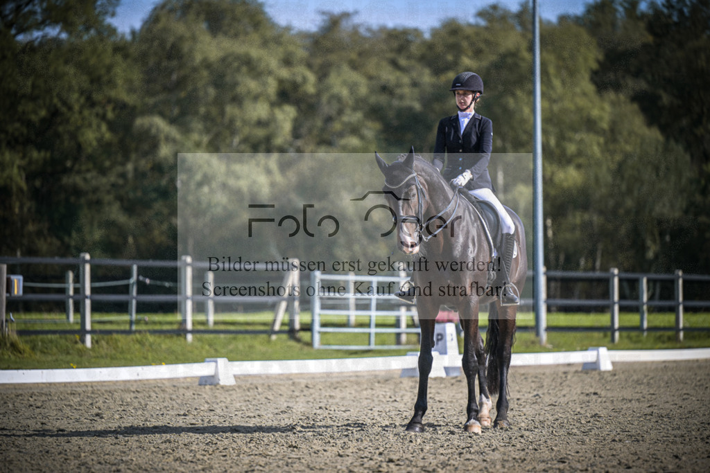 DOS_1777 | Entdecke hochwertige Reitturnierfotos von Foto Oger. Professionell, emotional und authentisch – jetzt Lieblingsmomente im Shop bestellen.Deutschlandweite Turnierfotografie. - Realisiert mit Pictrs.com