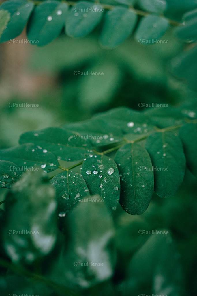 20221020_PaulHense_S0025_DSC00072 | paulhense - Realisiert mit Pictrs.com