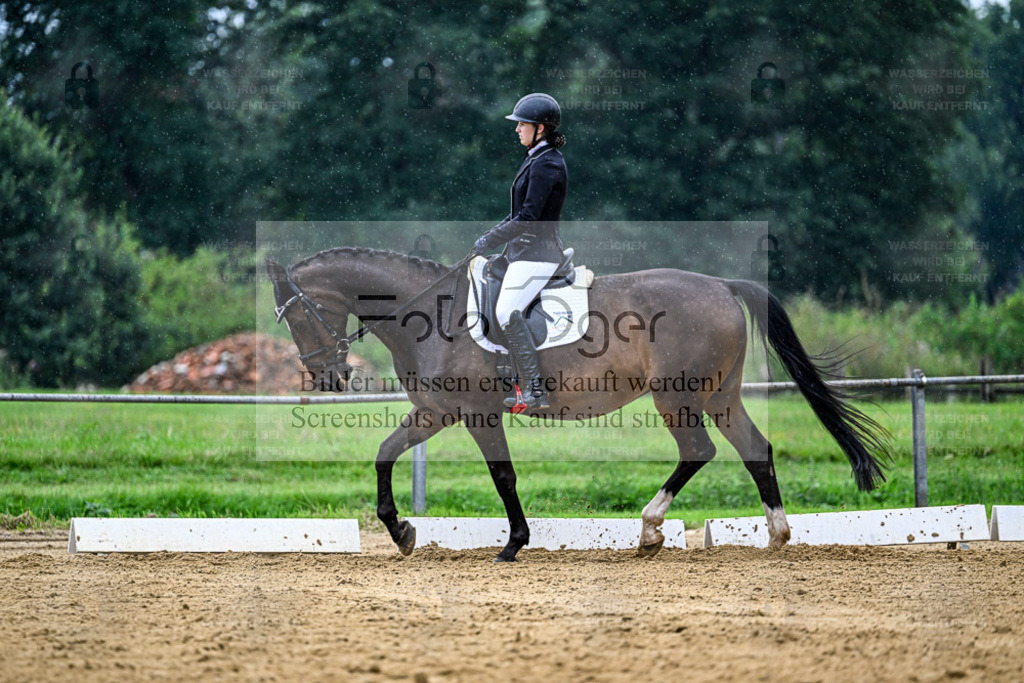 Reitturnier Hasbergen | Entdecke hochwertige Reitturnierfotos von Foto Oger. Professionell, emotional und authentisch – jetzt Lieblingsmomente im Shop bestellen. - Realisiert mit Pictrs.com
