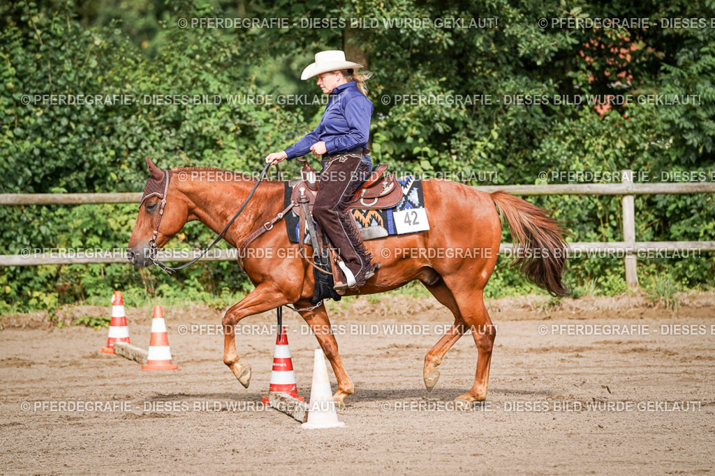 DSC00280 | Pferdegrafie