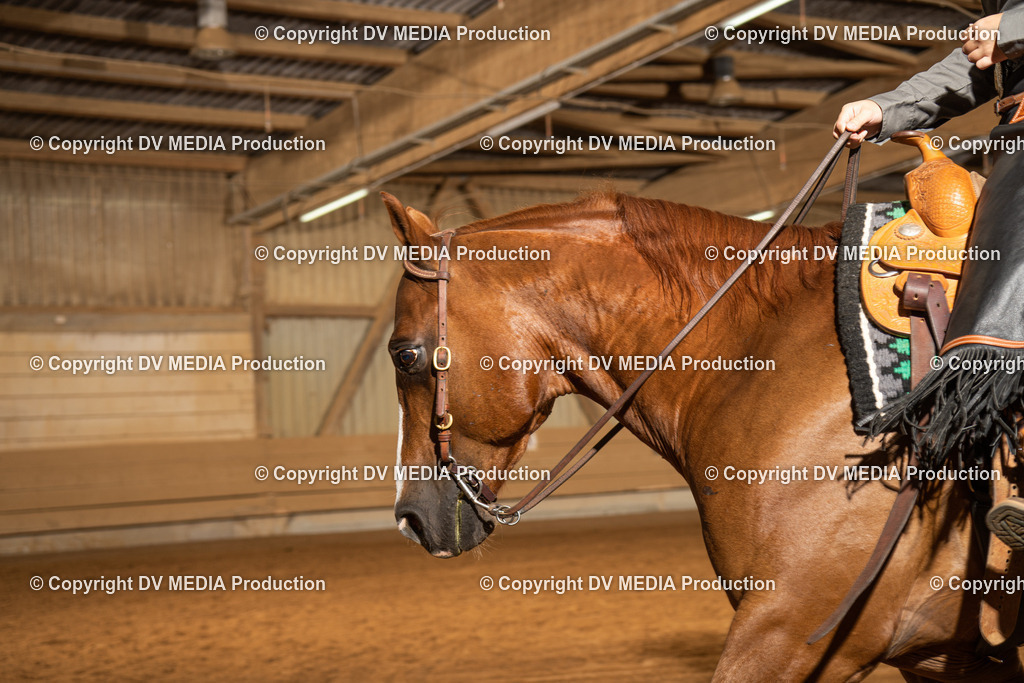 NID01431 | dv-media-shop - Realisiert mit Pictrs.com