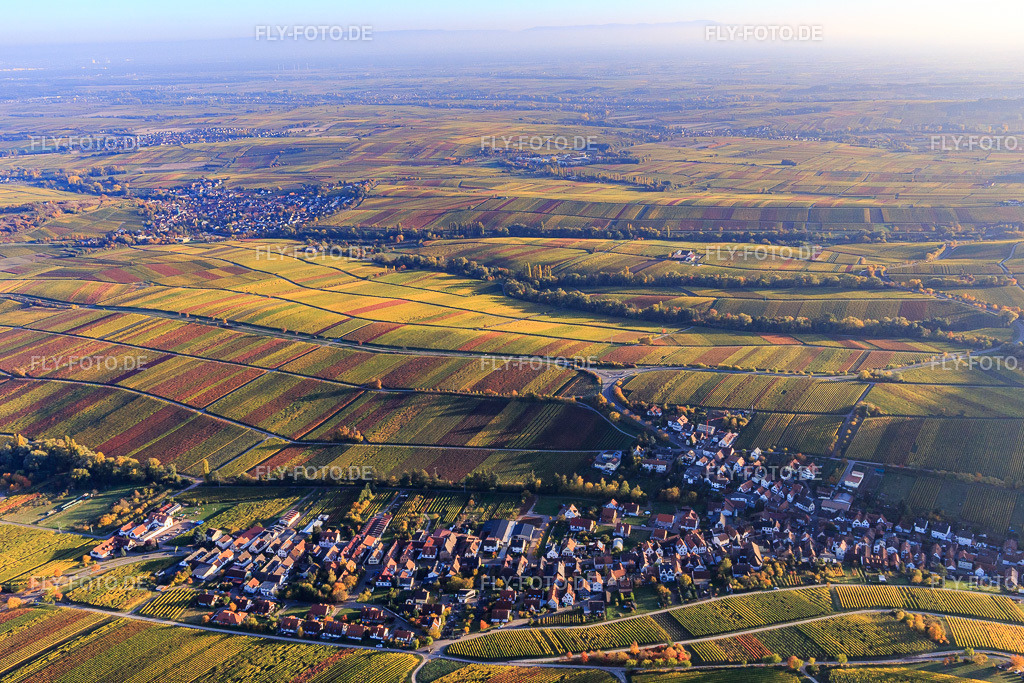 Herbstlicht bunte Reben der Weinberge bis Ilbesheim | Luftbild: Herbstlicht bunte Reben der Weinberge bis Ilbesheim in Ranschbach im Bundesland Rheinland-Pfalz in Deutschland. Foto: IMG_095701.jpg vom 30.10.2016 durch Werner Riehm/FLY-FOTO.de - Realisiert mit Pictrs.com