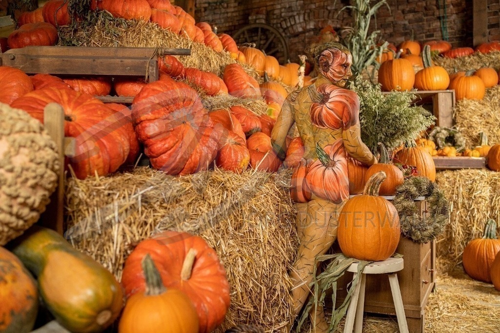 AgrarArt-KÜRBIS_0094 | #002 | Modell: Vanessa | Foto: Dennis Largo Schulz - Realisiert mit Pictrs.com