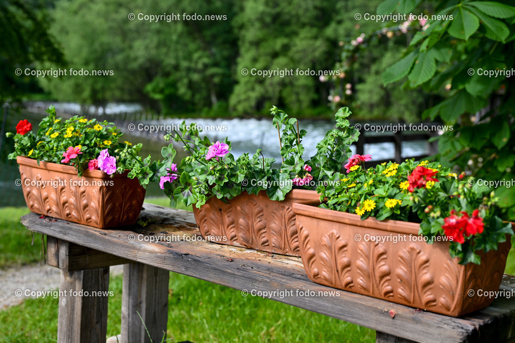 Steegwirt_ Fritz Grampelhuber_ 08.06.2024-8 | 08.06.2024, Bad Goisern, AUT, Steegwirt, im Bild Steegwirt, Wirtshaus seit 450 Jahren - 1571