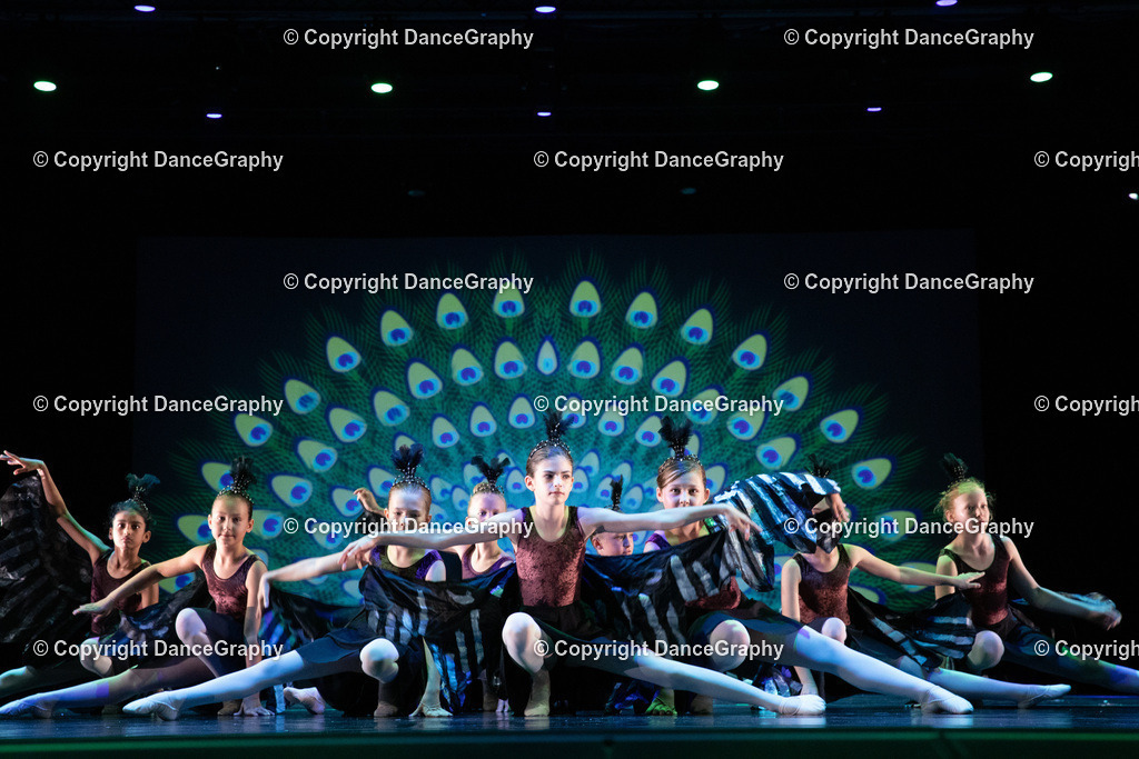 GPHY6151 | DanceGraphy - Realisiert mit Pictrs.com