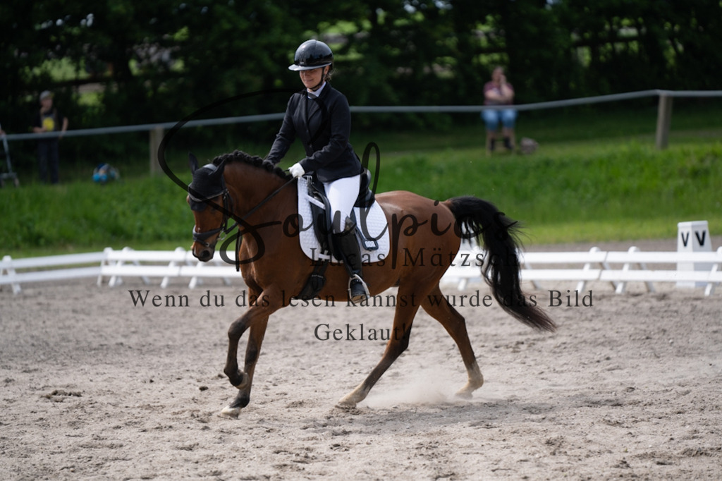 A7V02775 | Pferdefotograf