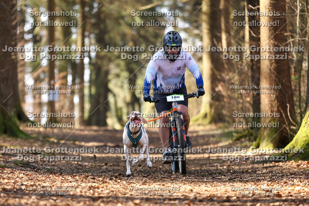 Dog Paparazzi - VCC26-970 | Dog Paparazzi Jeanette Grottendiek Fotografie & Videografie - Realisiert mit Pictrs.com