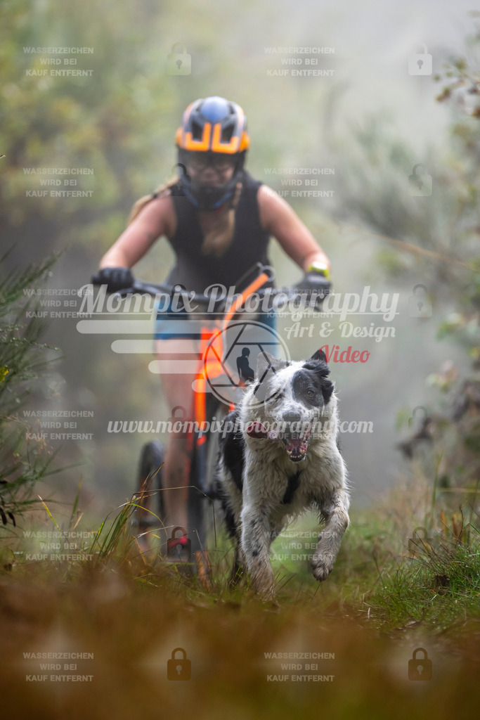 MompixPhotography_20TSB_E4_DS1-60 | PayLife