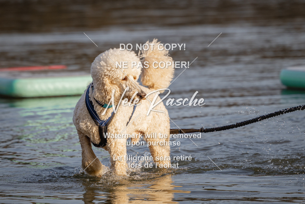nelerasche_Hulsbeek_Sa1700-1730_220 | nelerasche