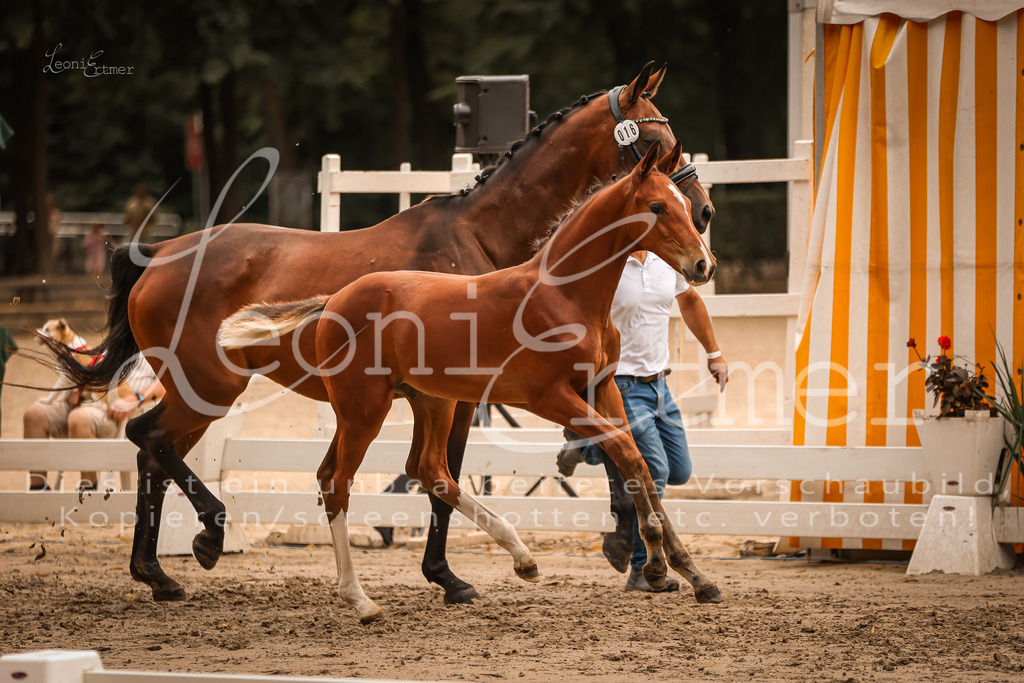 SaPA00223 | Leoni Ertmer Photography - Realisiert mit Pictrs.com