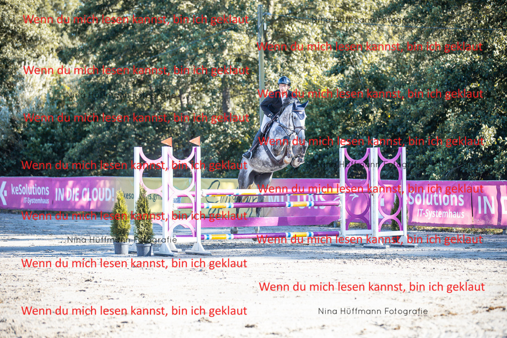 BK1A6099 | Turnierbilder Turnierfotos Nina Hüffmann Turnierfotografie Pferdefotografie Tierzeichnung Haustierzeichnung Pferdezeichnung Hundezeichnung Videograf  - Realisiert mit Pictrs.com