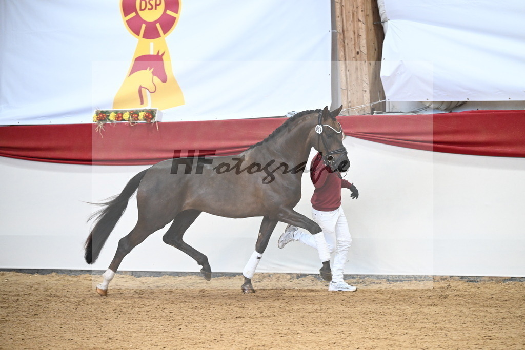 Kat.-Nr. 54 v. Feliciano_Rupp_3265135 | hf-fotografie - Realizzato con Pictrs.com