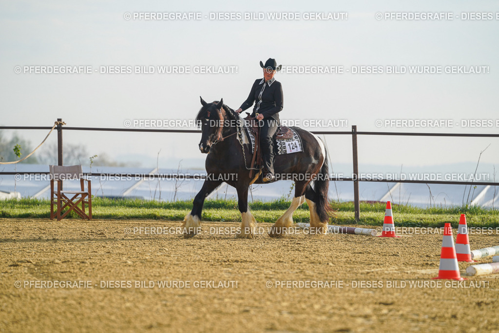 DSC09922 | Pferdegrafie