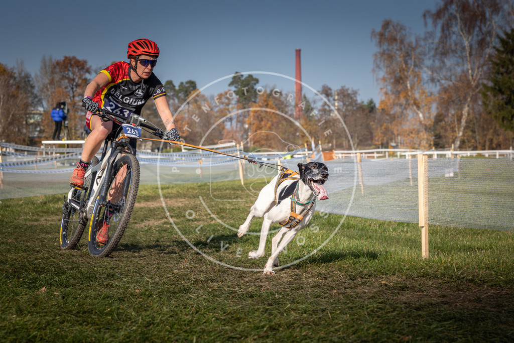 CaniXpix_0L8A7174 | Hundefotografie, Tierfotograf, Pfotenfotografie, Fotoshooting Hund, Hunde Portrait, Hundesport, Hundeportraits, Heideshooting, Hunde, Sportfotograf, Hundefotograf, Turnierhundsport, THS,  - Realisiert mit Pictrs.com