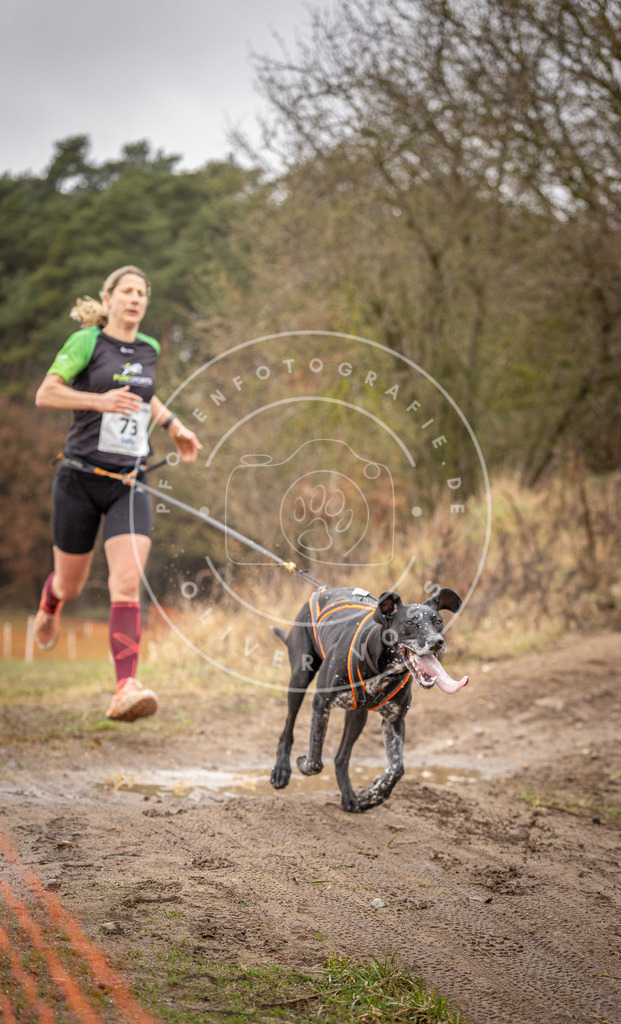 DV3A0246 | Hundefotografie, Tierfotograf, Pfotenfotografie, Fotoshooting Hund, Hunde Portrait, Hundesport, Hundeportraits, Heideshooting, Hunde, Sportfotograf, Hundefotograf, Turnierhundsport, THS,  - Realisiert mit Pictrs.com