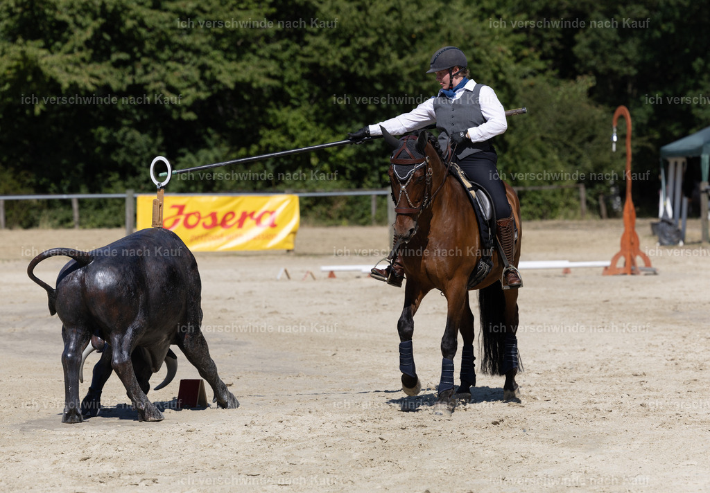 WE_Trail_80_KerstinBernhardt-8 | working equitationturnier fotograf videograf stoibphotography marixx film working equitation deutschland reitsport turnierfotografie eventfotografie equestrian events