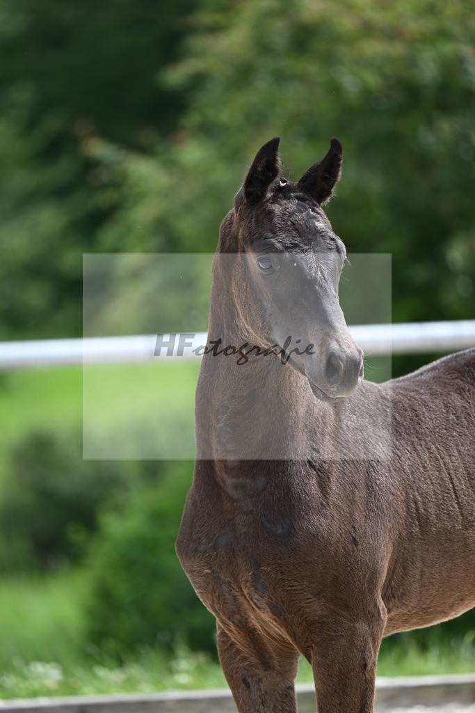 V-Power x Ray Ban_SF_Stadelmann_20240732 | hf-fotografie - Realisiert mit Pictrs.com