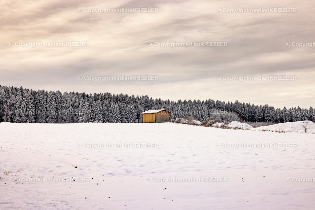 _J3A9696 | medienkrizzler - Realisiert mit Pictrs.com