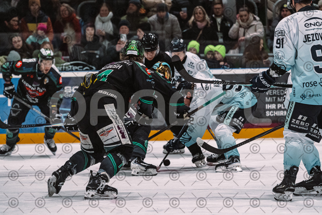 Alligators_vs_Lindau_20_02_2026-09 | Höchstadt Alligators Fotogalerie: Eishockey-Action aus Franken. Professionelle Spielfotos, Portraits & Stadionbilder zum Download. Jetzt entdecken! - Realisiert mit Pictrs.com