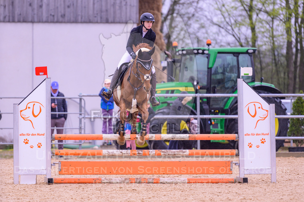 12042026-Mammendorf-Prfg38-0239 | Fokus Hufschlag Fotografie - Realisiert mit Pictrs.com