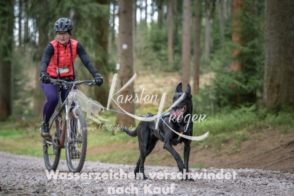 0948_ZZ91962 | kk-dogfotos