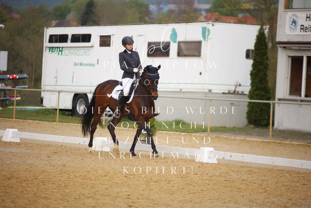 IMGT7665 | pl-fotografie