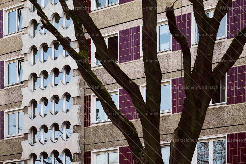 Hoyerswerda-Neustadt Fassade, Hinterhof Thomas-Müntzer-Straße, Hoyerswerda, Februar 2026 | Hoyerswerda-Neustadt Fassade, Hinterhof Thomas-Müntzer-Straße, Hoyerswerda, Februar 2026 - Realisiert mit Pictrs.com
