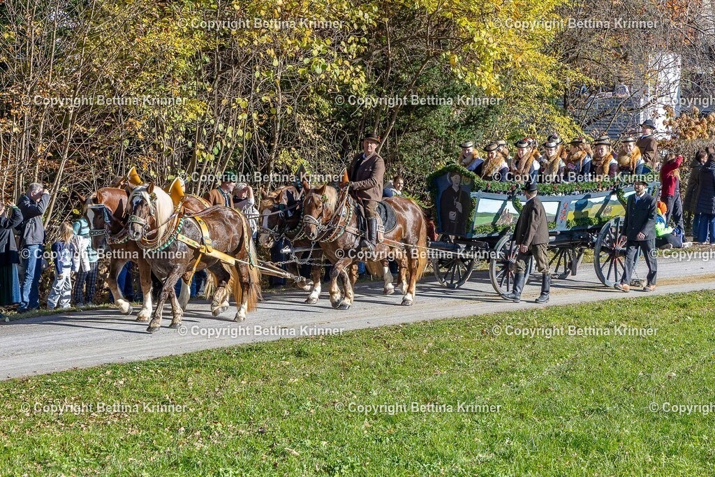 LBT25-697 | foto-bettina-krinner - Realisiert mit Pictrs.com