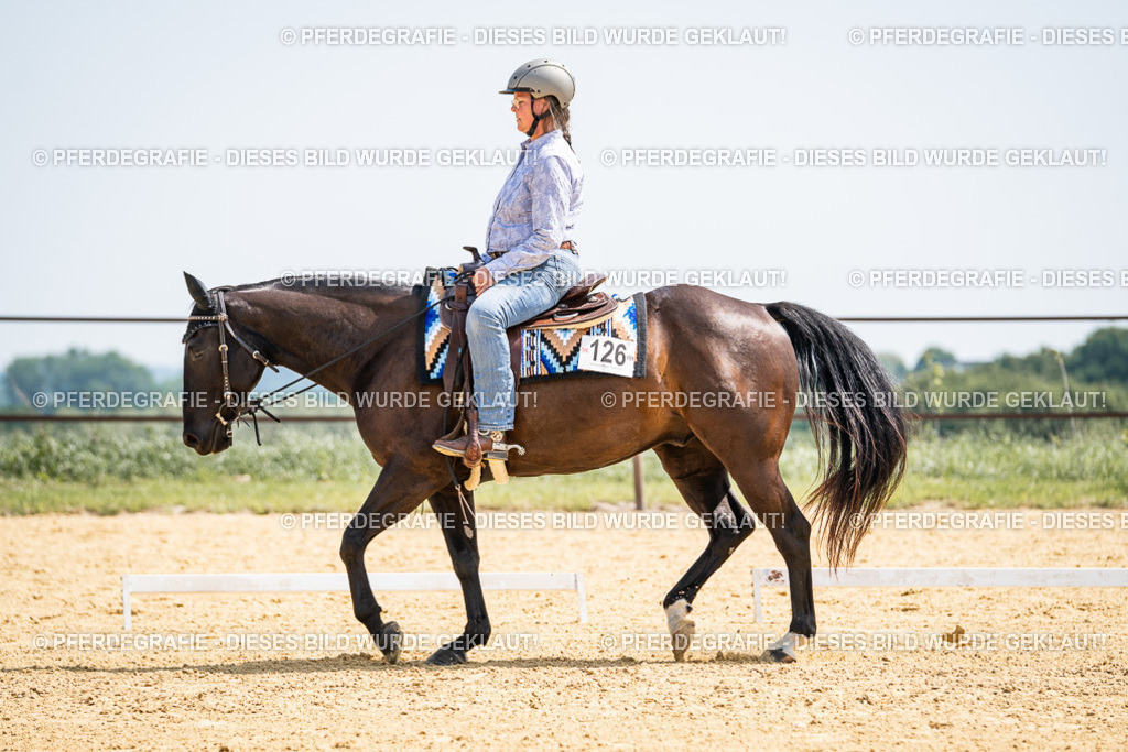 DSC00631 | Pferdegrafie