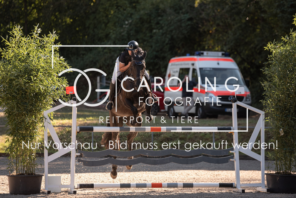 DSC_7736 | Turnierfotografin Carolin Gieschke, Turnierfotografie Carolin G Fotografie, Turnierfotos Kirchheim/Teck, Esslingen, Stuttgart, Bodenseekreis