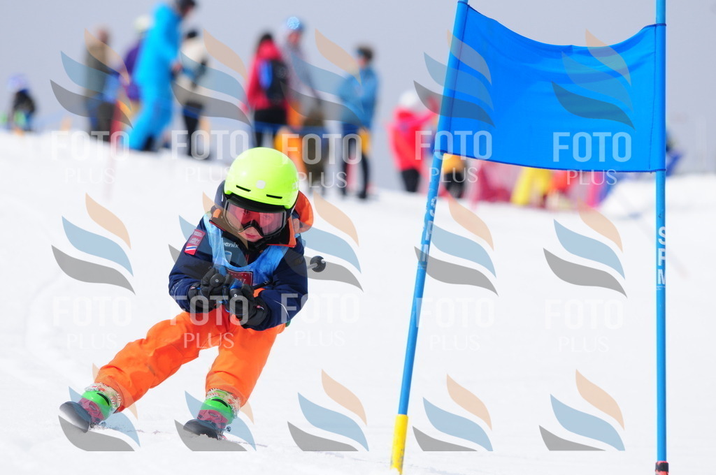 A3835 | holidayphoto