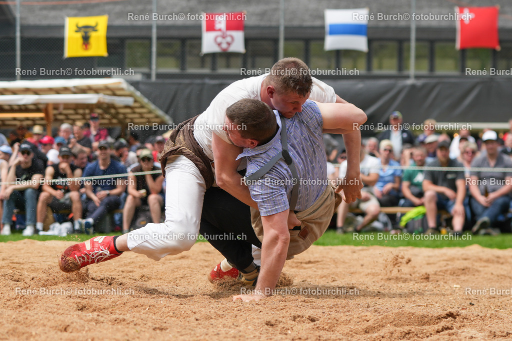 RB-09663 | René Burch leidenschaftlicher Fotograf aus Kerns in Obwalden.  Hier finden sie Sport, Landschaft und Natur Fotografie.
 - Realisiert mit Pictrs.com