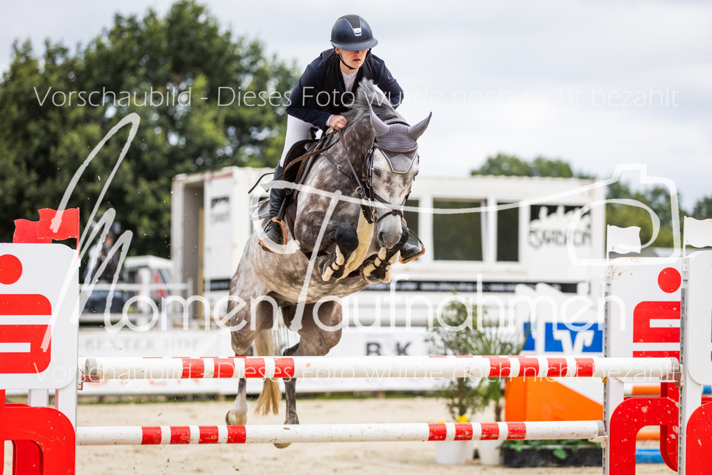 BHO-2PhSpr-M-5-2253 | MomenTaufnahmen Pferdesportfotos