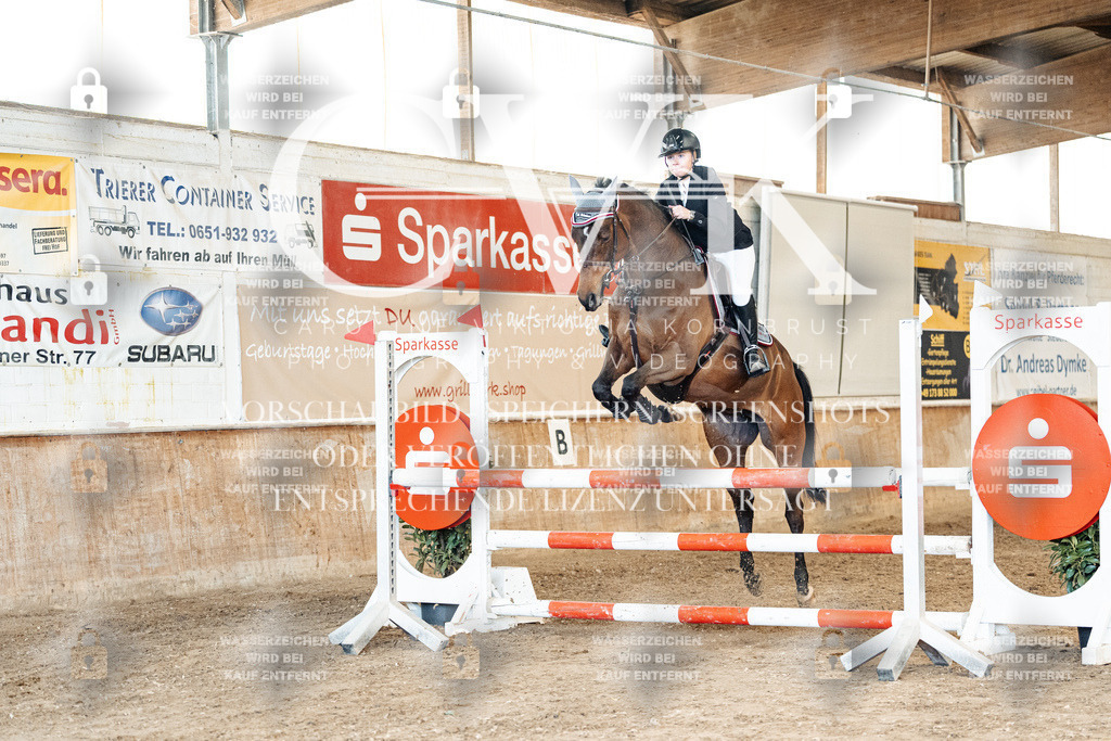 CK905246 | Turnierfotografie Pferdefotografie Trier Rheinland-Pfalz Pferdesport Reitsport Tierfotografie Sportfotografie Pferdevideo Pferdevideografie Equestrianvideography equestrianphotography  - Realisiert mit Pictrs.com