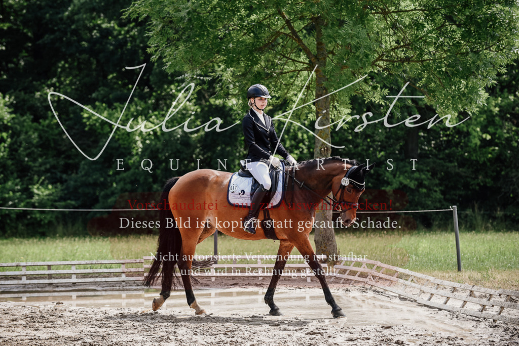DSC_0912 | Pferde- und Turnierfotografie in Westsachsen. Pferdeportraits, Auftragszeichnungen und intuitive Kunst.