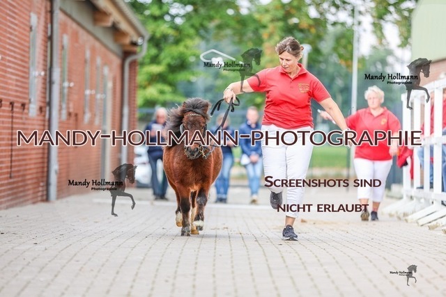 2-2 | mandyhollmannphotographie