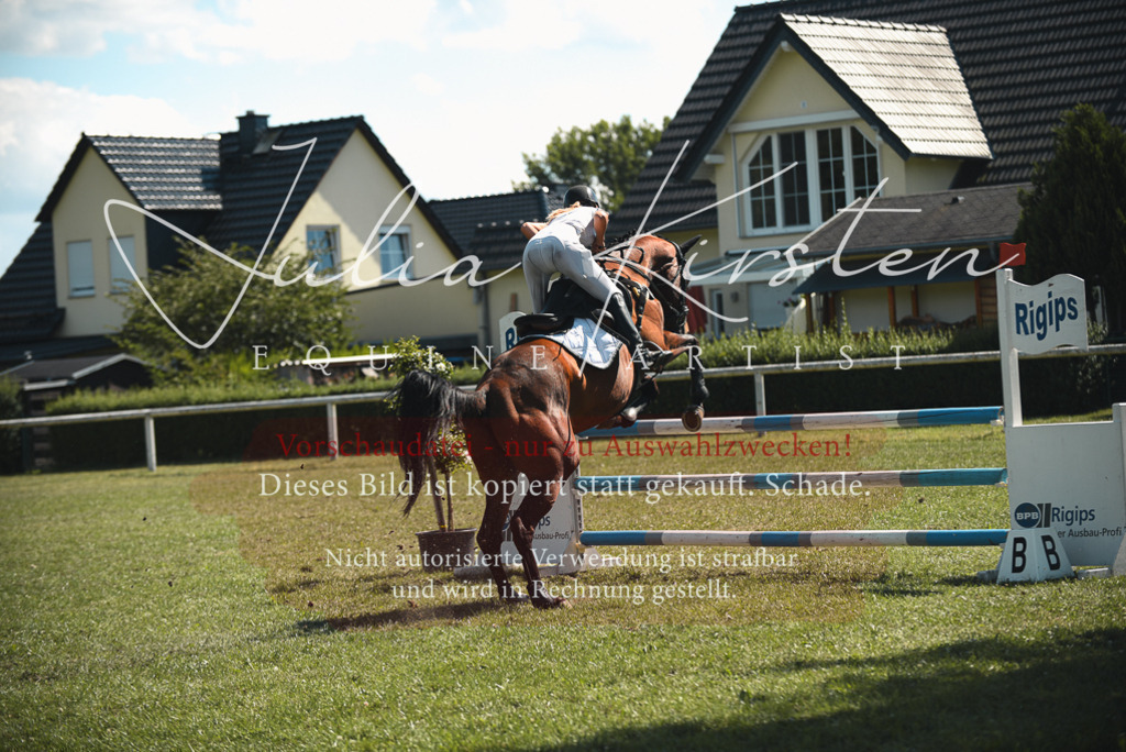 DSC_7030 | Pferde- und Turnierfotografie in Westsachsen. Pferdeportraits, Auftragszeichnungen und intuitive Kunst.