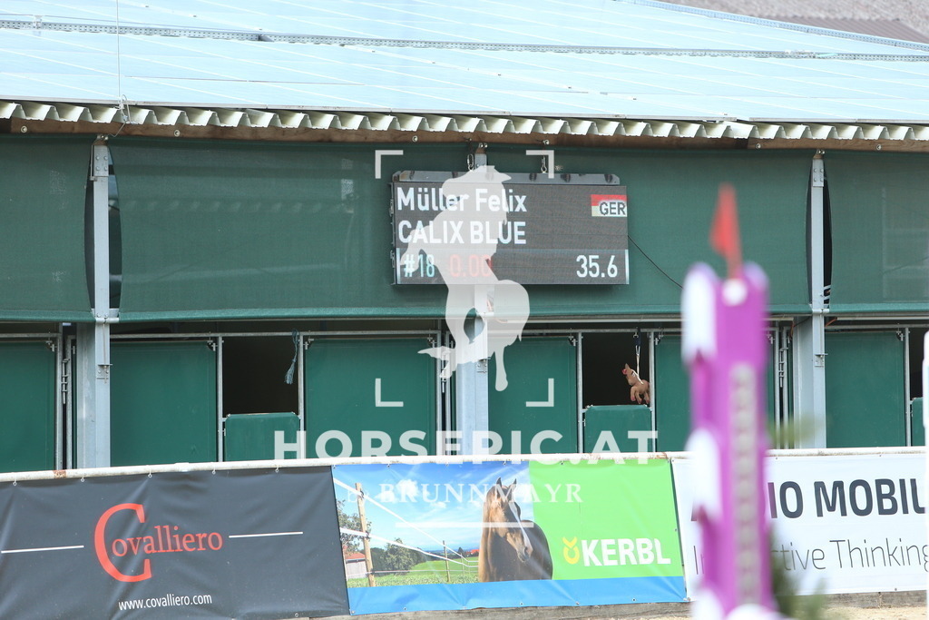 DL2Q0380 | Willkommen bei Brunnmayr - Design & Fotografie – Ihrem Spezialisten für Reitturniere und Pferdeveranstaltungen in Oberösterreich, Salzburg und Bayern! Seit über 17 Jahren sind wir leidenschaftlich dabei.