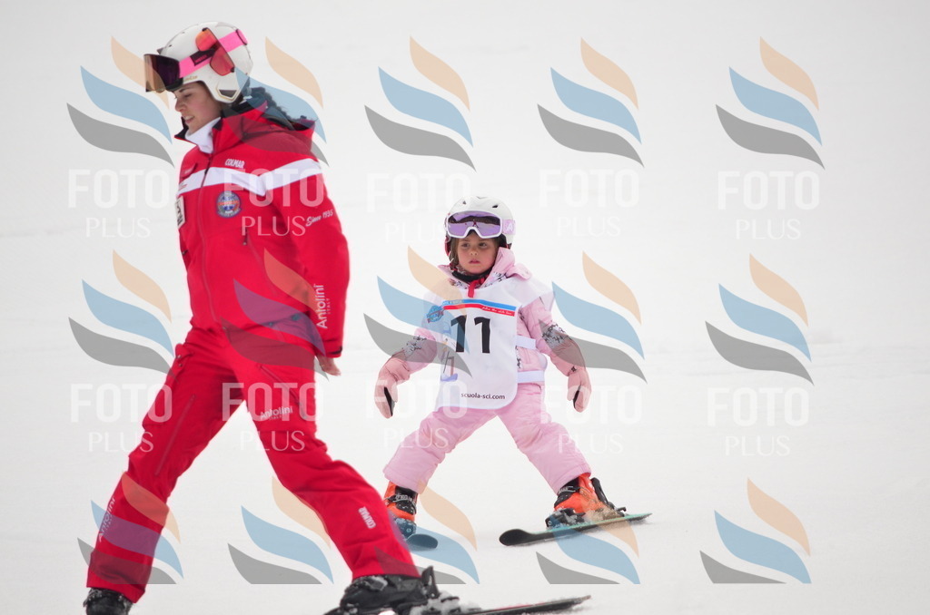 B8990 | holidayphoto