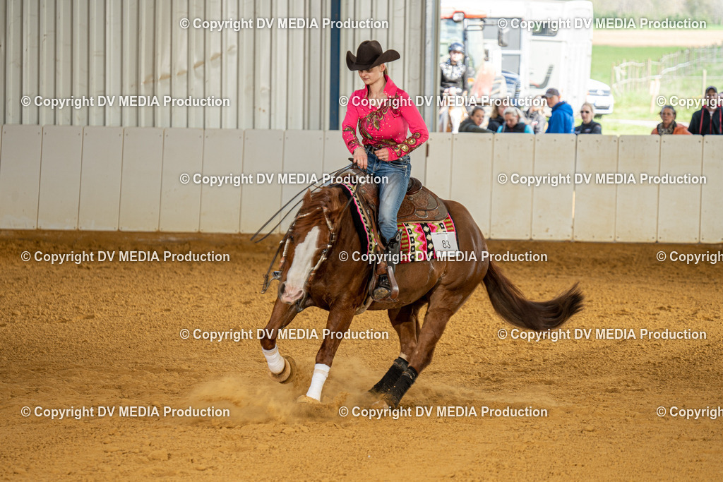 MIT00884 | dv-media-shop - Realisiert mit Pictrs.com