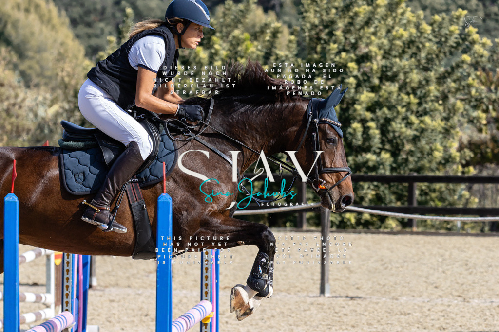 IMG_0598 | s-jay-photography - Realisiert mit Pictrs.com