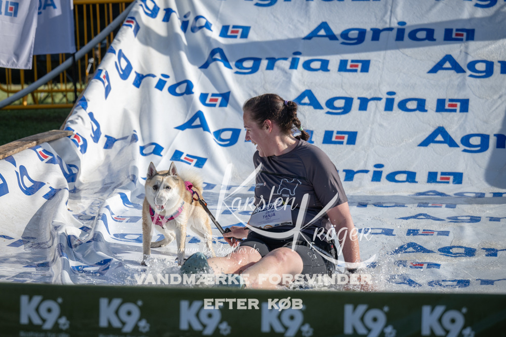 0929_ZZ95867 | kk-dogfotos