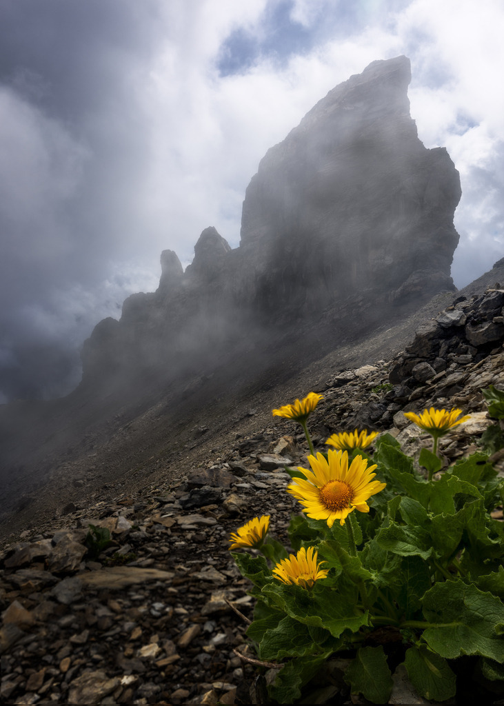 Peak in the Fog | tobiasneyer - Realisiert mit Pictrs.com