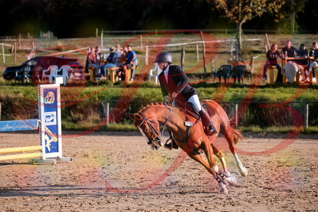2026_10_03_Siefer-Hof_171723_Z81_15229146 | Professionelle Reitsport-, Turnier- und Eventfotografie von Robert Broda. Galerien mit ausgewählten und bearbeiteten Bildern direkt online ansehen und bestellen.